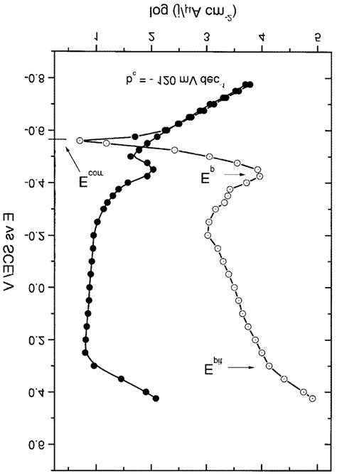 Anodic And Cathodic Polarization Curves For Stainless Steel In