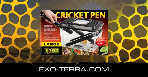 Cricket Pen Large