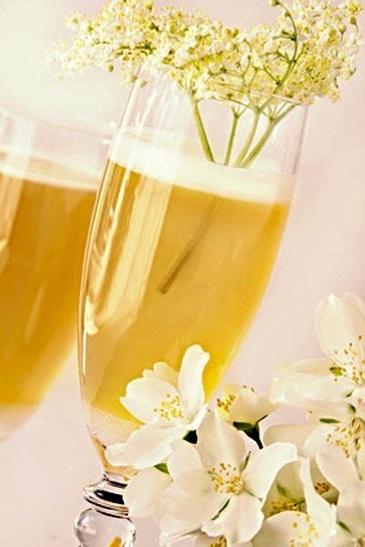 Recept na Bezinkové šampaňské