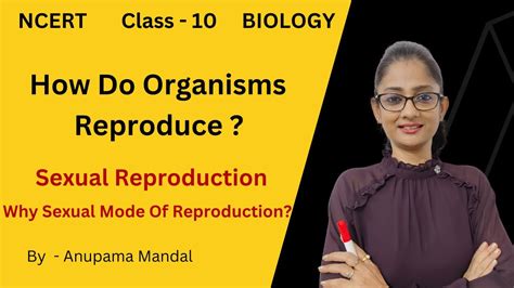 Sexual Reproduction Why The Sexual Mode Of Reproduction Class10