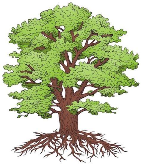 Дерево маркетинга