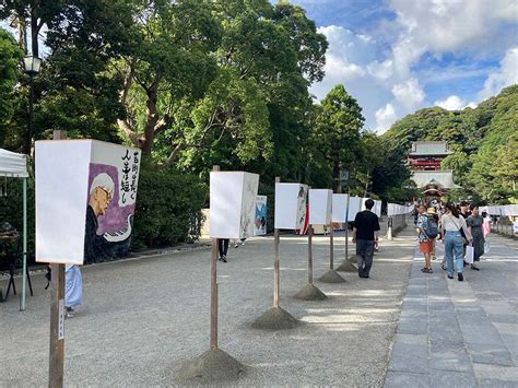 鎌倉・鶴岡八幡宮「ぼんぼり祭」 境内照らすほのかな灯 カナロコ By 神奈川新聞