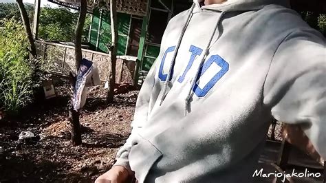 Sex Toy Egg Twister Review Part Gay Asian Porn Feat Mariojakolino By Faphouse Xhamster