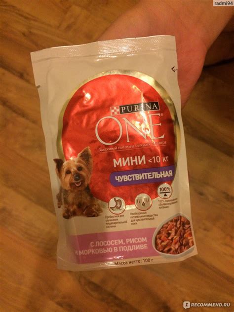 Корм для собак Purina One Мини Активная - «Purina ONE - шикарный корм ...