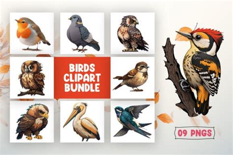 Birds Clipart Sublimation Bundle Graphic By Pkdesign Creative Fabrica