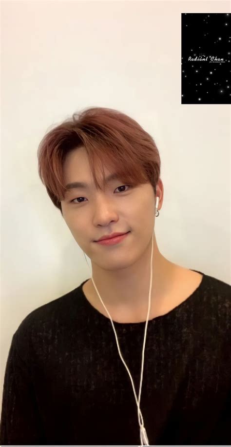 Seventeen Dino