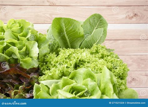 The Group Of Hydroponic Vegetables Isolated On White Background Green