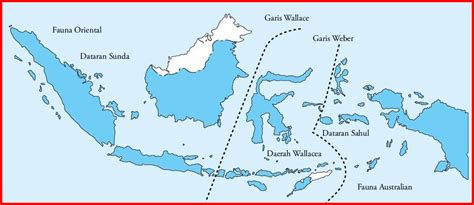 Persebaran Flora Dan Fauna Di Indonesia Freedomsiana