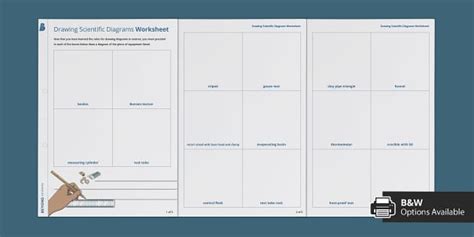 Drawing Scientific Diagrams Worksheet (teacher made)