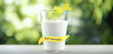 Лучшие марки безлактозного молока с достоинствами и недостатками.