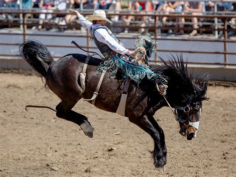 Clovis Rodeo’ Demonstrates “Clovis Way of Life” | Clovis Roundup