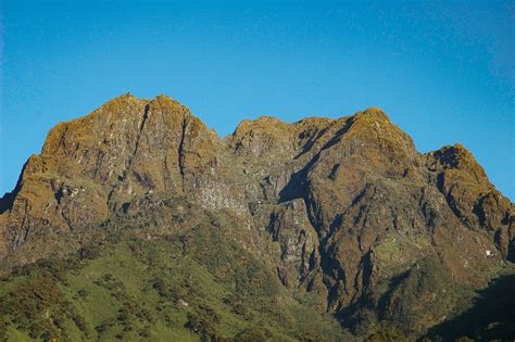 Rwenzori Mountains - Exo Terra