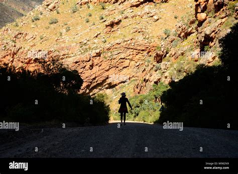 Karoo, South Africa Stock Photo - Alamy