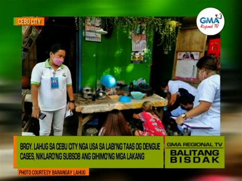 Balitang Bisdak Dengue Cases Sa Cebu City Nagsaka Balitang Bisdak