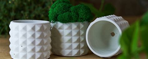 Безымянный сад маркет 2025 | ВКонтакте