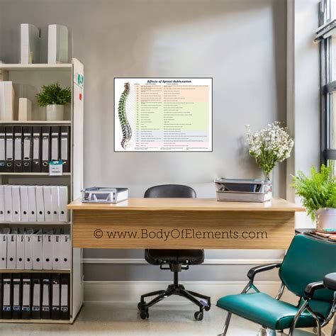 Effects of Spinal Subluxation Poster – Body of Elements