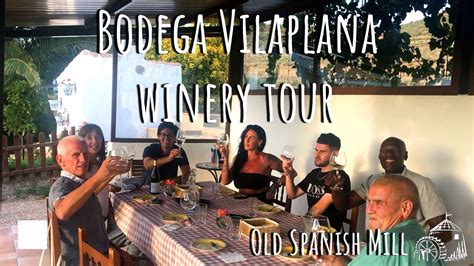 Journey Through Bodega Vilaplana Explore The Heart Of Winemaking Youtube