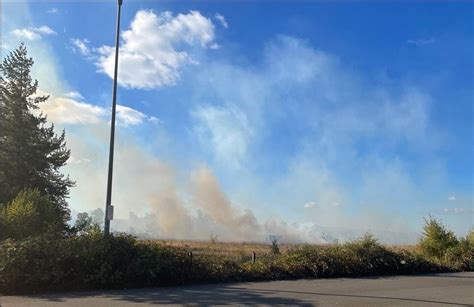 Firefighters Stop Vegetation Fire On Blm Land In West Eugene At 4 5 Acres