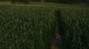 SIPHAYO NUDE SCENES AZNude