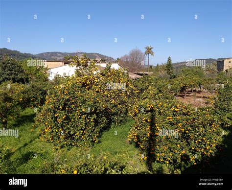 hiking in Soller- Mallorca,Spain Stock Photo - Alamy