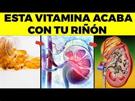 Beneficios y propiedades del té de ginkgo biloba descubre sus efectos