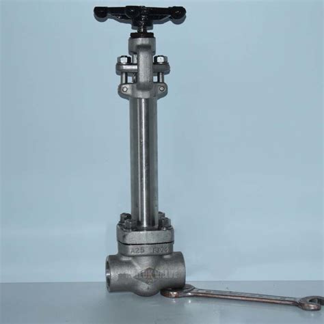 Cryogenic Globe Valve Class Dn For Low Temperature Degree