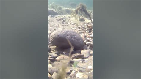 А что там под водой? Кисловодск. Новое озеро. - YouTube