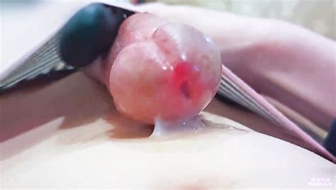 Puffikpuff HD Porn Videos XCafe