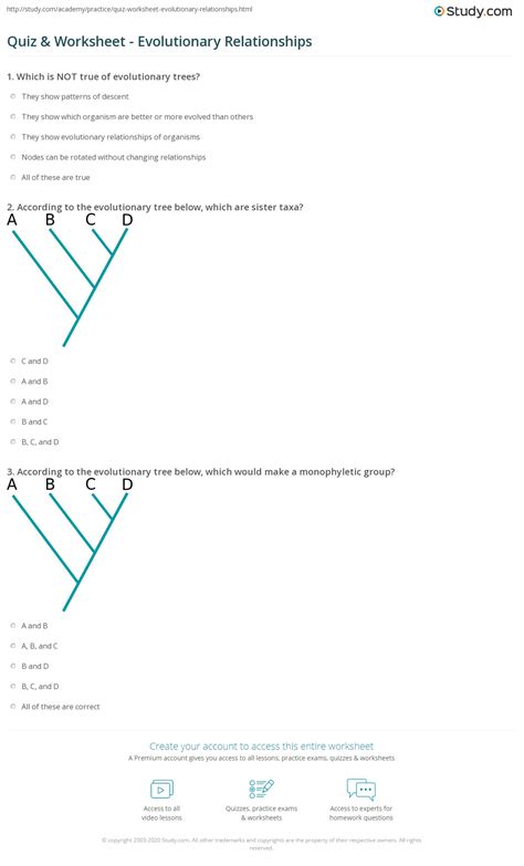 Phylogenetic Tree Worksheet - Sustainablefed