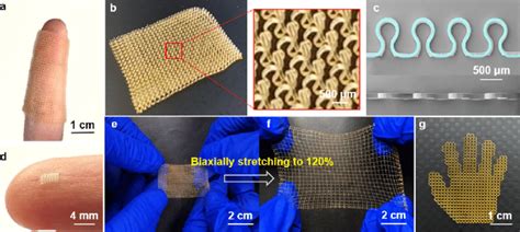 Printed 3d Network Of The Horseshoe Shaped Microstructure Array For