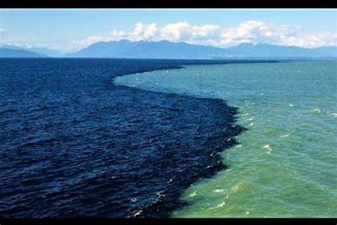 Pacific And Atlantic Ocean Venn Diagram Comparing The Pacifi