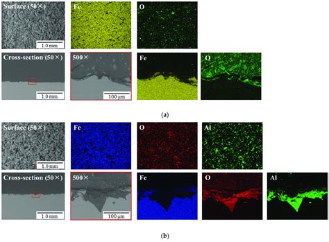 SEM EDX Analysis Of The Surface And Cross Section Of The Specimens