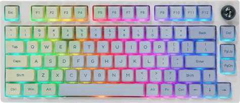 EPOMAKER TH80 PRO 75 Hot Swap RGB Modalità Tripla Tastiera Meccanica Con MDA PBT Monet Keycap