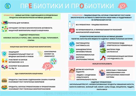 ПрОбиотики и прЕбиотики | ГУЗ «Городская клиническая больница №2»