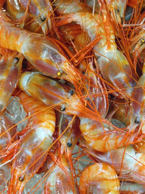 Hawaiian Prawns By Joeyartist On Deviantart