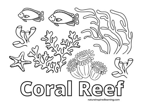 Coloring Pages Ecosystem Mangrove Colouring Sheet Colour Mangroves