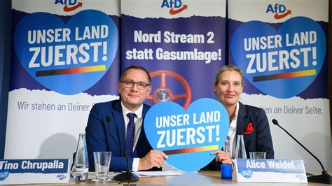 Wirtschaft: Das würde das Programm der AfD für unseren Wohlstand