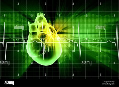 Human Heart Beats Stock Photo Alamy