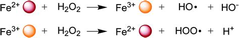 Peroxide Fenton Reaction