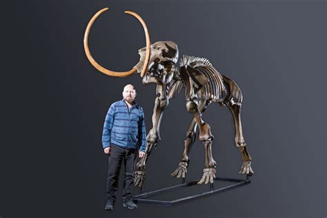 Gallery — Ice Age Museum