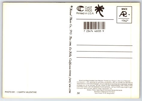 Postcard Cheeky Female Model Tropical Scene on Silhouetted Bikini Bottom Risqué eBay