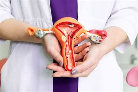 Mengenal Macam Macam Bentuk Vagina Yang Perlu Diketahui