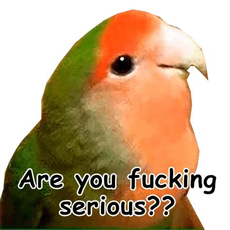 Excuse Me What The Fuck