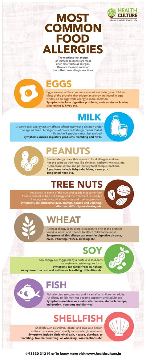Food Allergy And Food Intolerance Fundamental Differences