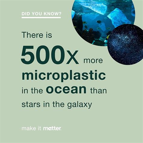 Matter Compostable Sandwich Bags 50 Count