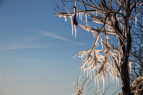 Wallpaper Sunlight Sea Nature Sky Snow Winter Branch Blue Ice