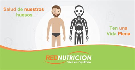 ¿cómo Cuidar Nuestra Salud ósea Rednutricion Dieta Del Genotipo En Chile