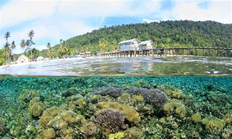 waterfront city konsep intergrasi tata ruang laut  darat