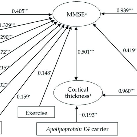 A Scatter Plot Of Age Versus Mmse A For The Patients Who Lived With A