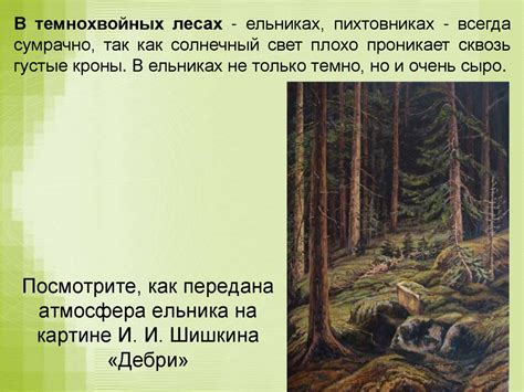 Лес как природное сообщество - презентация онлайн